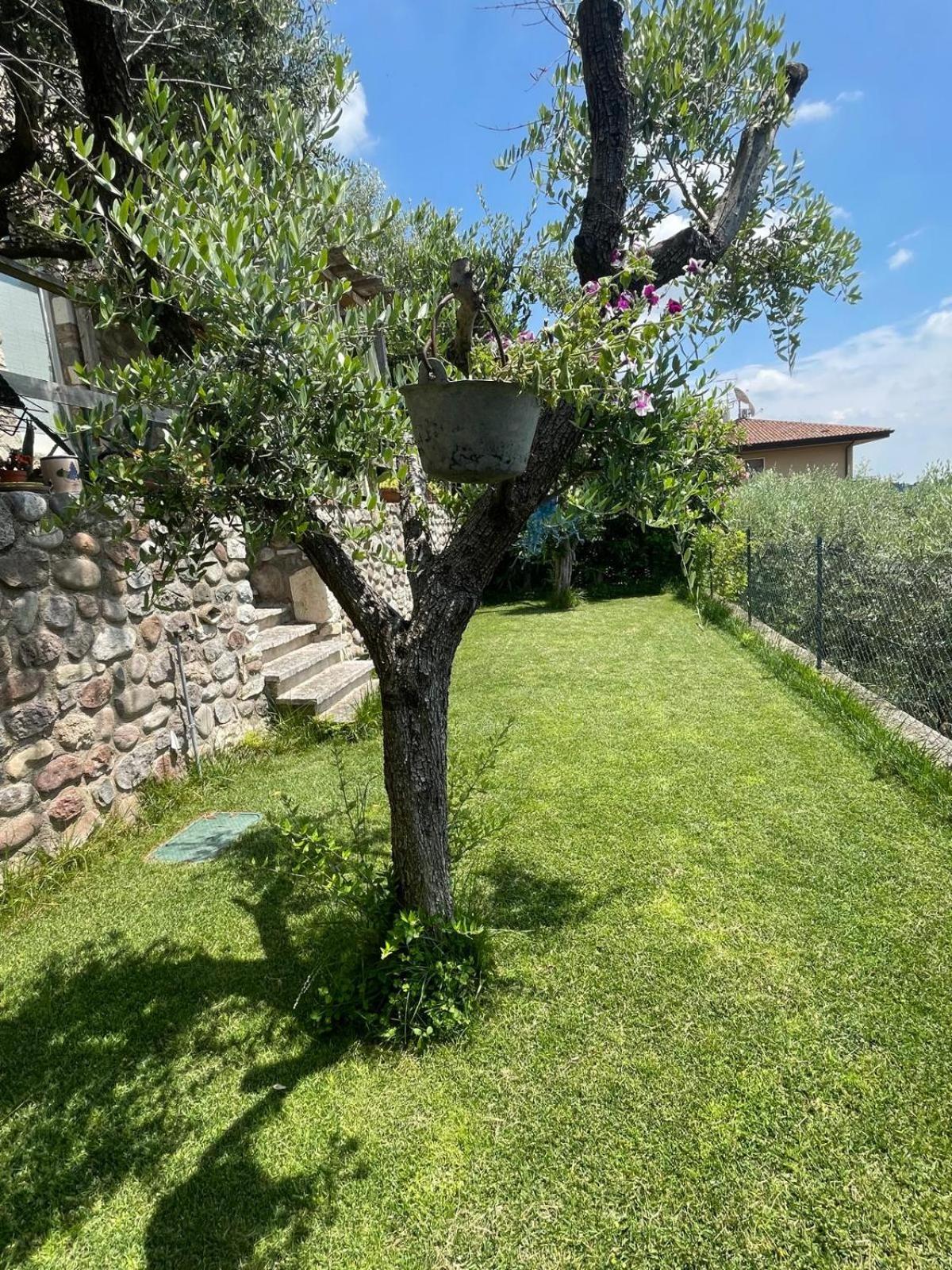 Garden Room Cavaion Veronese Exteriér fotografie